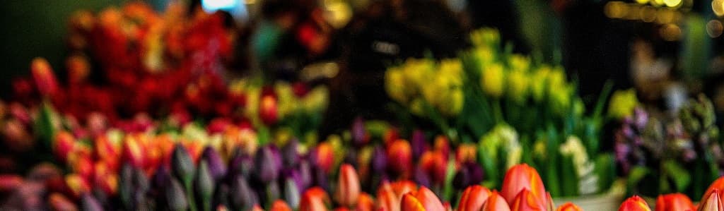 Flower market by Rod Long on Unsplash